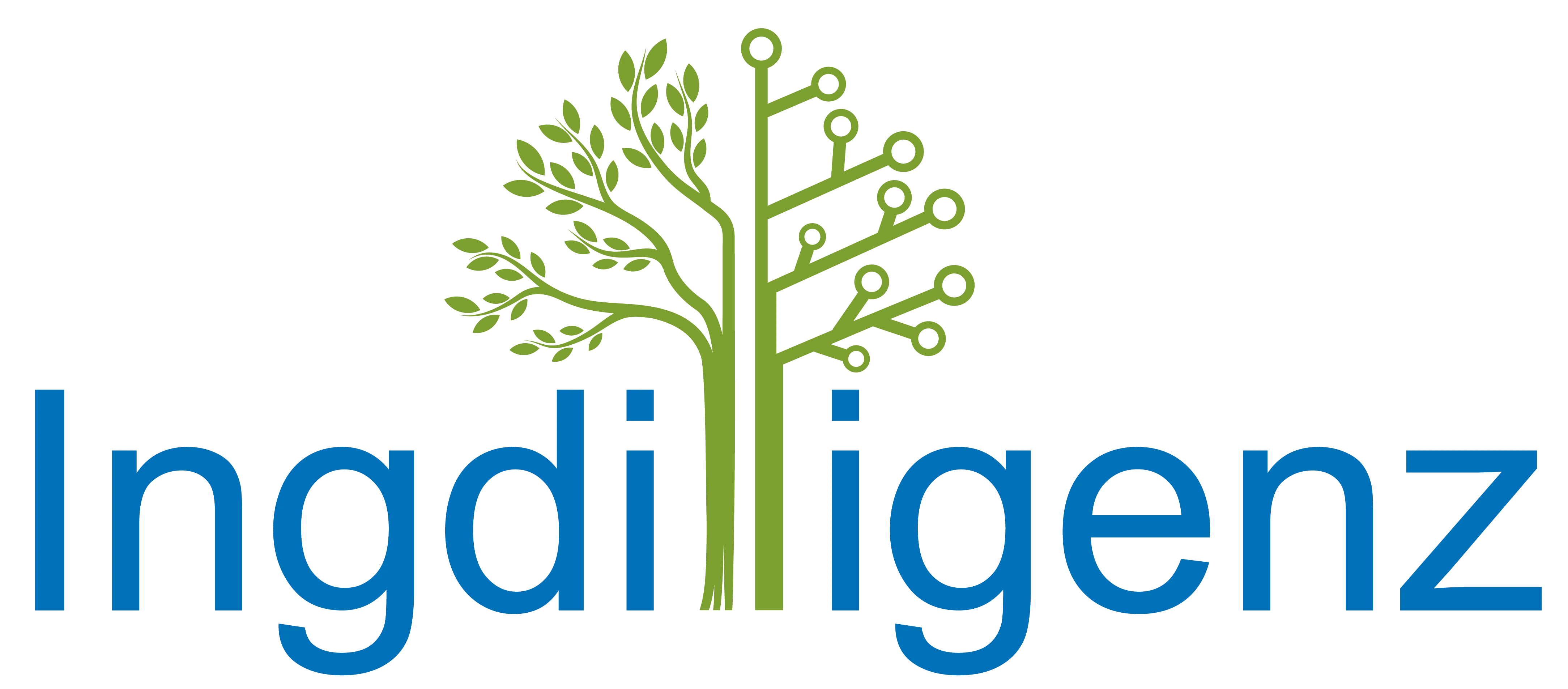 Ingdilligenz